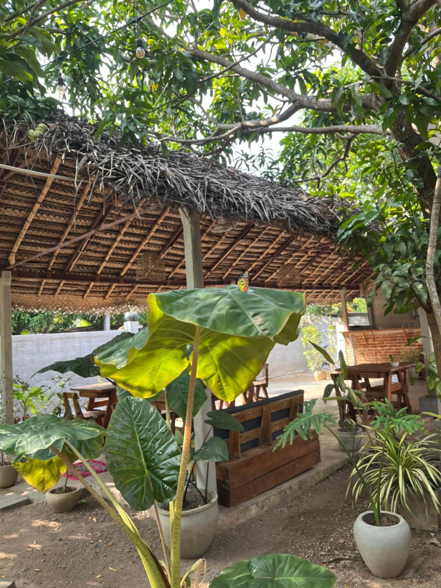 Apartmán Avalon Weligama Exteriér fotografie